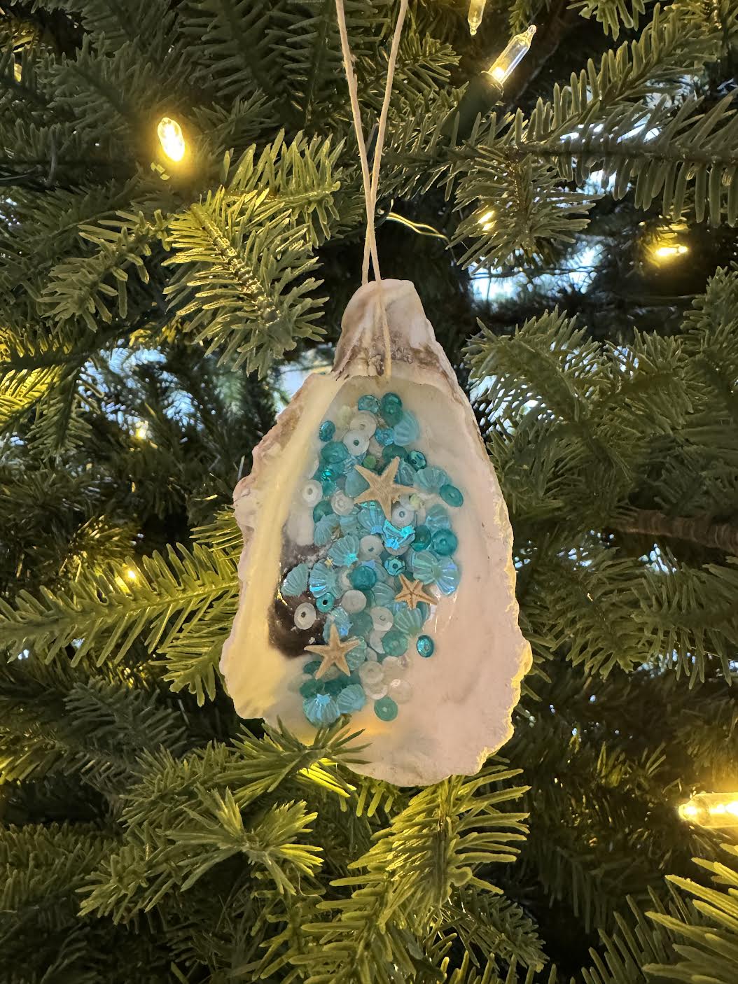 Sea Dreams Oyster Shell Collective Ornament