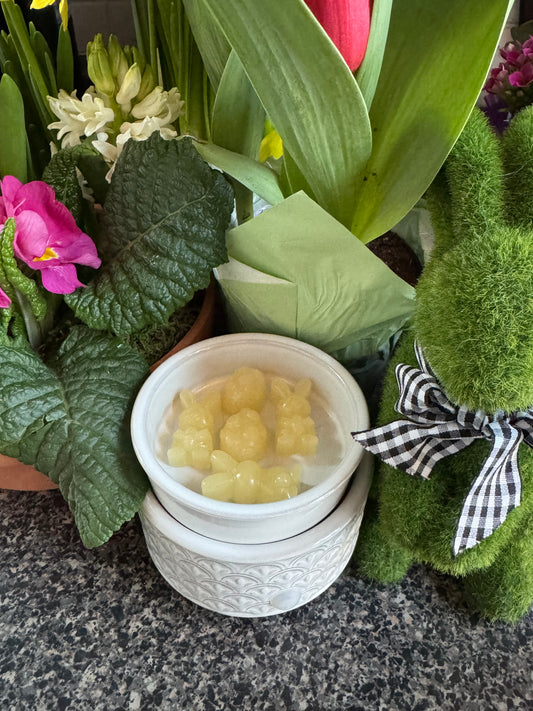 Bunny Hops Beeswax Melts in Seabreeze